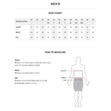 Load image into Gallery viewer, Speedo Ruse Blocks Brief (7052266)