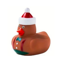 Load image into Gallery viewer, Swimming Matters Rubber Ducks
