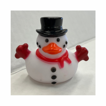 Load image into Gallery viewer, Swimming Matters Rubber Ducks
